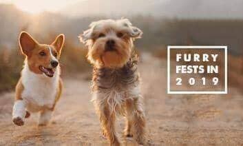 Our Fav Furry Fests in 2019 - peaksnpaws