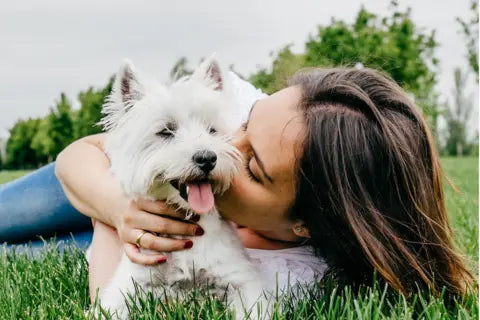 Best Puppy Training Treats for New Owners