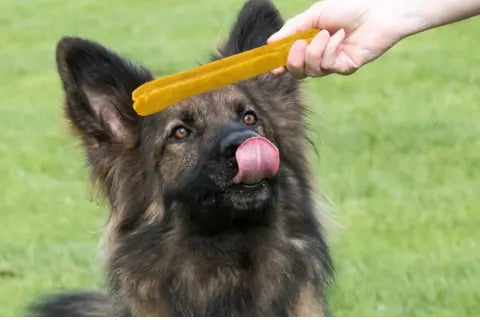 DIY Homemade Dog Treats With Yak Chews