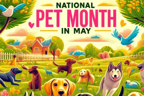 Celebrating National Pet Month with peaksNpaws: Innovations in Dog Chews