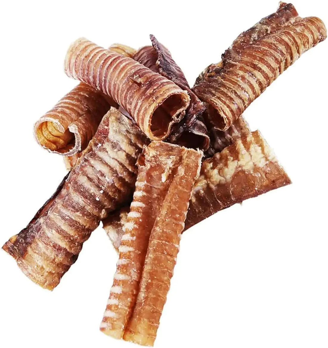Buy Beef Trachea Chews for your Dog Online (6 inches)