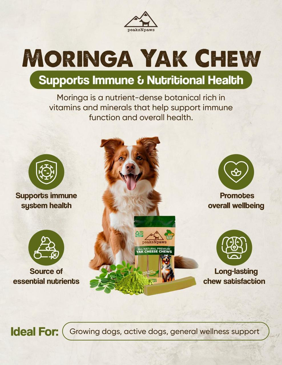 Turmeric Moringa Yak Chew