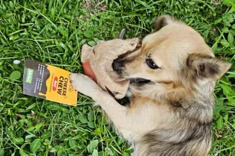 Simple Nourishing Dog Treats