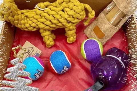 The Pros and Cons of Indestructible Dog Toys