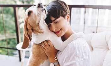 Basic Tips for First Time Dog Owners - peaksnpaws