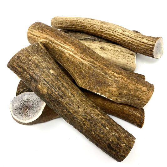 Antler Dog Chews for your pet dog - A Definitive Guide