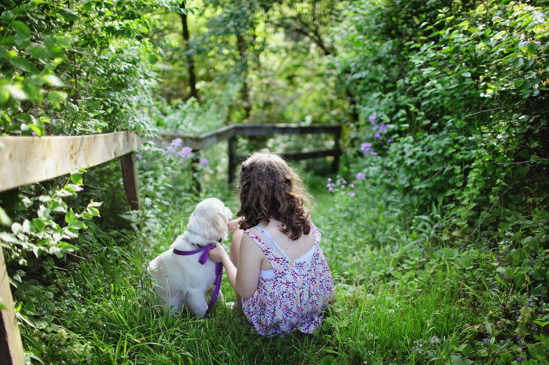 Prioritizing Pup Health: A Comprehensive Guide to Puppy Healthcare Essentials