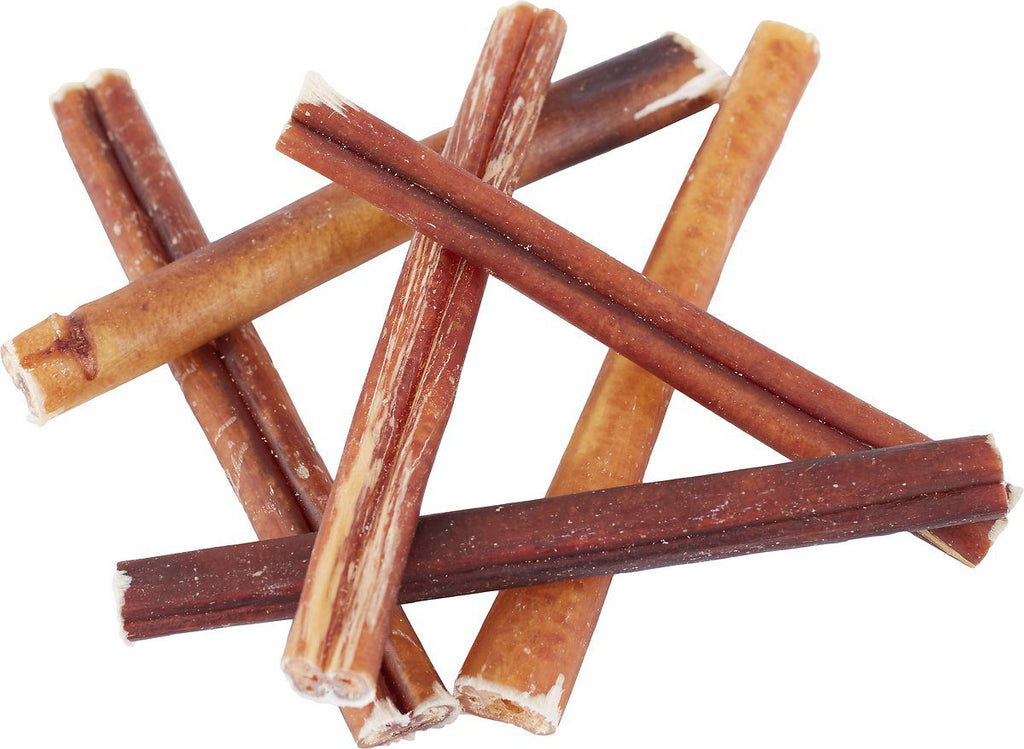 Everything you need to know about Bully Sticks for your pet dog