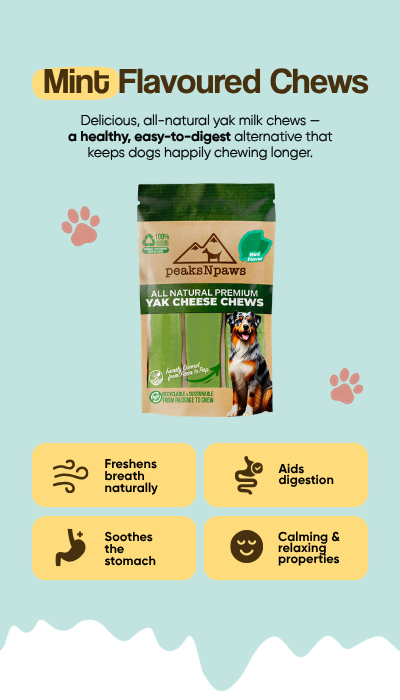 Mint Yak Chews One Size Fits All – peaksnpaws