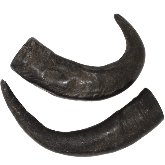 Medium Water Buffalo Dog Chew (25-55 LBS). (2-chews) - peaksnpaws
