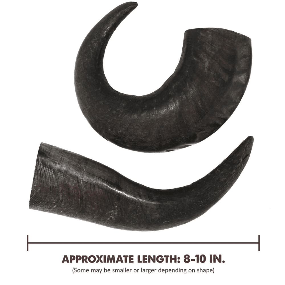 100 Natural Buffalo Horns From India peaksnpaws