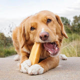 Large Yak Milk Dog Chews - Eco Pack - peaksnpaws