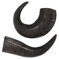 Large Water Buffalo Dog Chew (55+ LBS).     (2-chews)