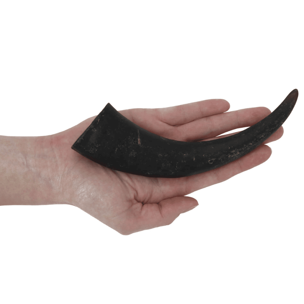 Buffalo horn dog chews hot sale