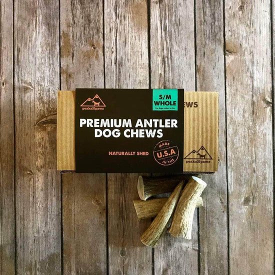 Small Premium Antlers Dog Chew