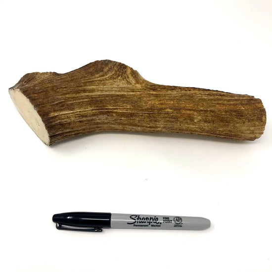Whole Antler for Dogs Online