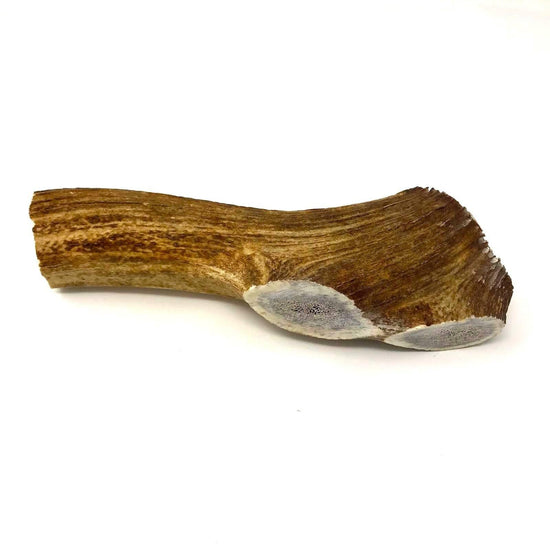 Antler Dog Chews Online